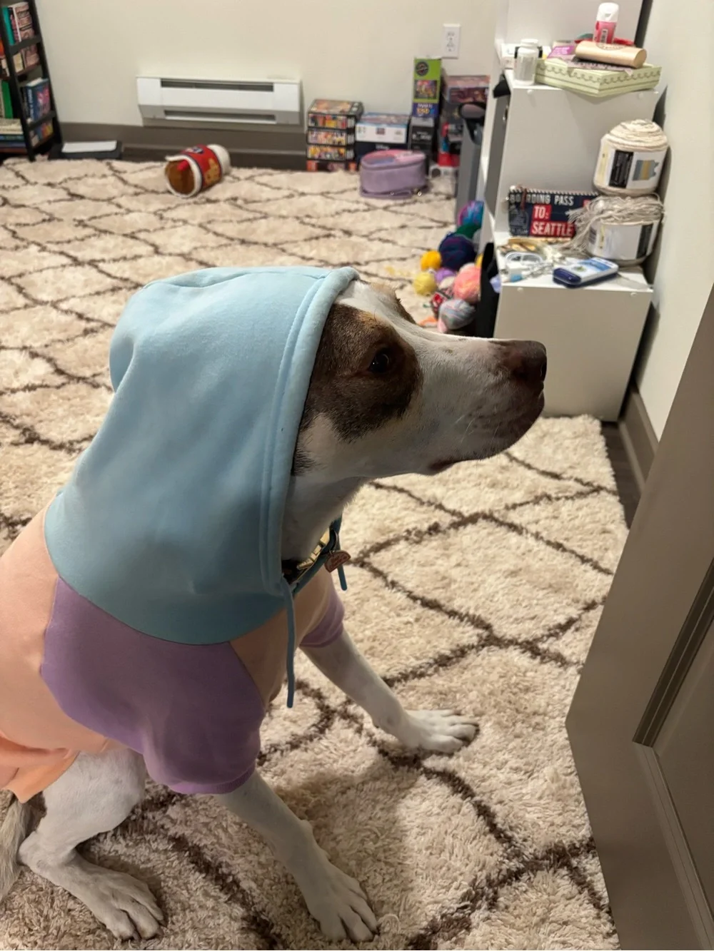 Pastel Colorblock Dog Hoodie